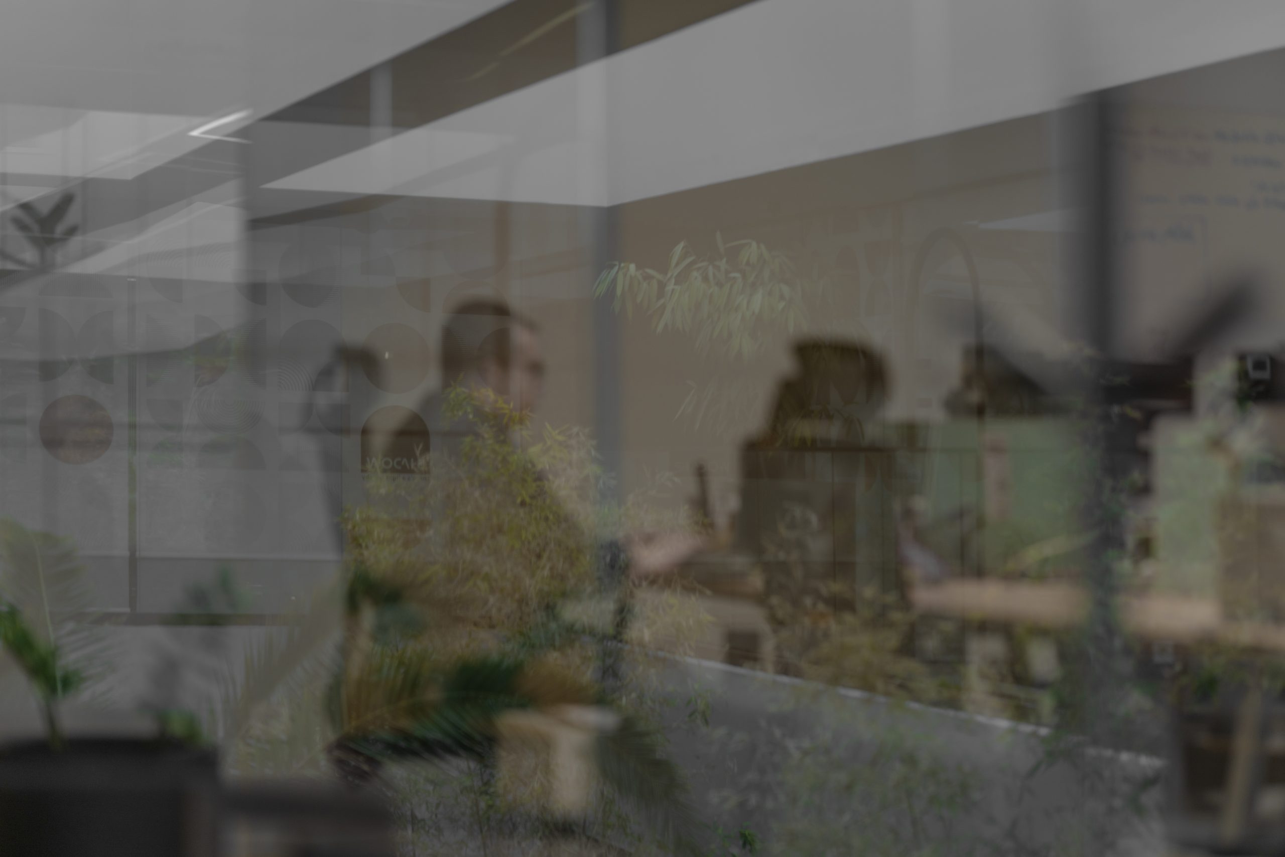 Shadow Workspace