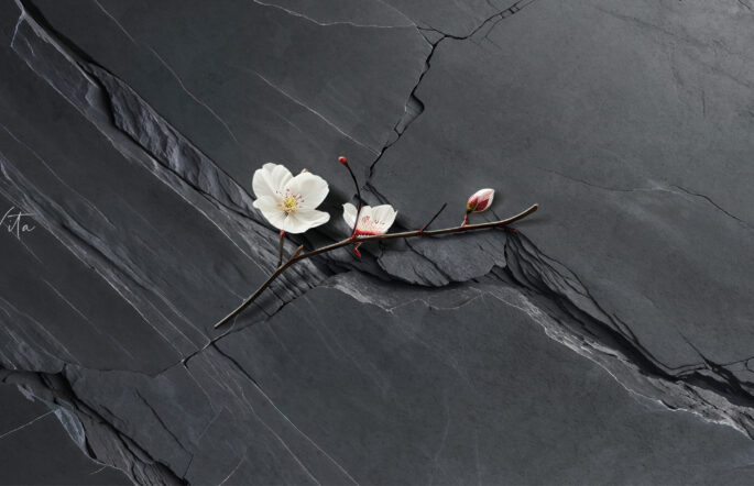 Ardesia Catalogue Design